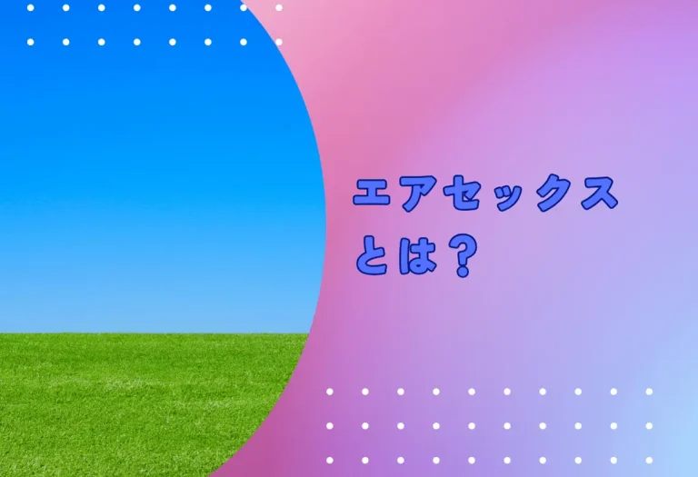 エアセックスとは？