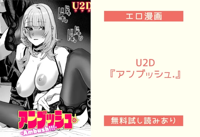 U2D『アンブッシュ.』