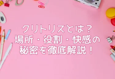 クリトリスとは？場所・役割・快感の秘密を徹底解説！