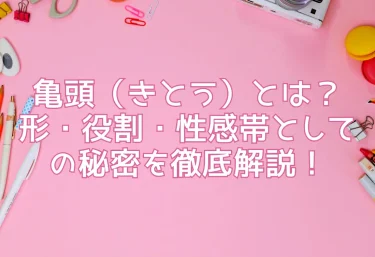 亀頭（きとう）とは？形・役割・性感帯としての秘密を徹底解説！