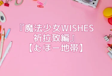 エロ同人レビュー『魔法少女WISHES 祈拉致編』【むほー地帯】