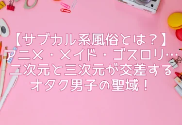 【サブカル系風俗とは?】アニメ・メイド・ゴスロリ…二次元と三次元が交差するオタク男子の聖域!