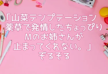エロ同人「山菜テンプテーション〜薬草で発情したちょっぴりMのお姉さんが止まってくれない。〜」ぞるそる