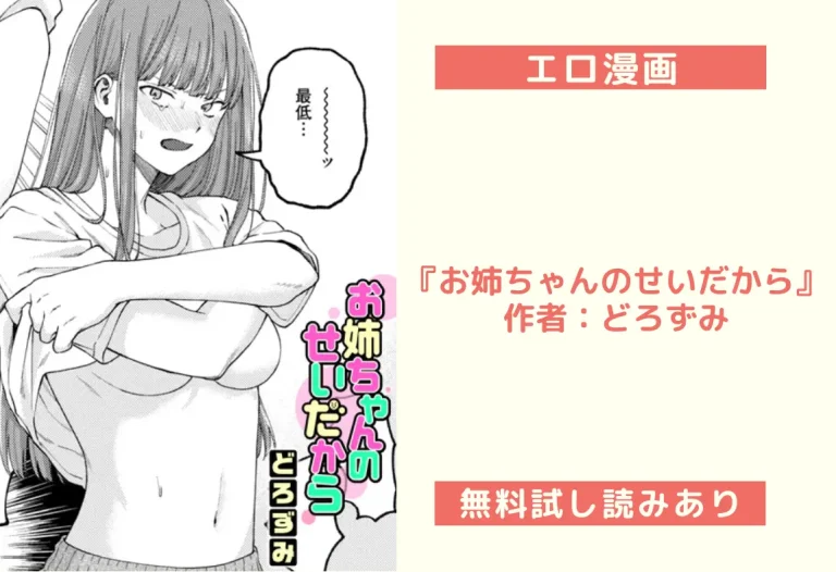 『お姉ちゃんのせいだから』 作者：どろずみ