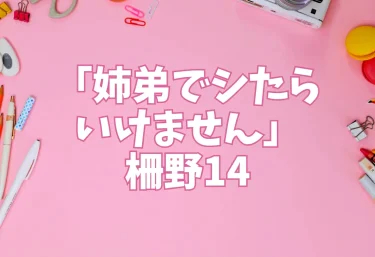 エロ同人「姉弟でシたらいけません」サークル名：柵野14