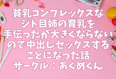エロ同人「貧乳コンプレックスなジト目姉の育乳を手伝ったが大きくならないので中出しセックスすることになった話」あくめくん