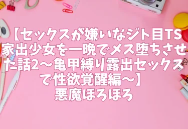 エロ同人【セックスが嫌いなジト目TS家出少女を一晩でメス堕ちさせた話2〜亀甲縛り露出セックスで性欲覚醒編〜】悪魔ほろほろ