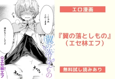 『翼の落としもの』（エセ林エフ）【エロ漫画】